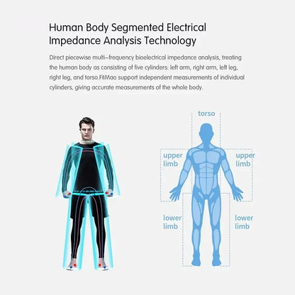 BMI Body Composition Analyzer Body Fat Scale Measurement Health Data Analysis Segmented Electrical Impedance Analysis Device